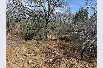 Lot 283-289 Aspermont Drive, Kingsland, TX 78639 - Photo 4