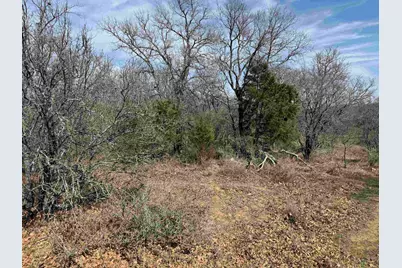 Lot 283-289 Aspermont Drive, Kingsland, TX 78639 - Photo 2