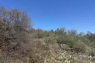 Lot 56 War Bonnet Ridge, Kingsland, TX 78639 - Photo 6