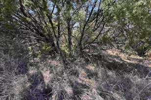 Lt K11054 Mountain Dew, Horseshoe Bay, TX 78657 - Photo 8