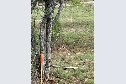 Lot 333B Aspen, Cottonwood Shores, TX 78657 - Photo 2