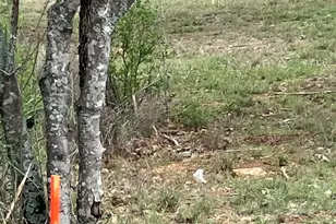 Lot 333B Aspen, Cottonwood Shores, TX 78657 - Photo 2