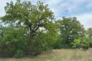 Unk County Road 330, Bertram, TX 78605 - Photo 10