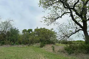 Unk County Road 330, Bertram, TX 78605 - Photo 8