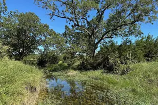 Unk County Road 330, Bertram, TX 78605 - Photo 4