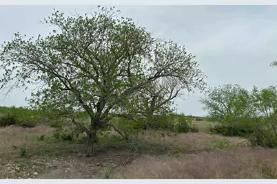 Unk County Road 330, Bertram, TX 78605 - Photo 8