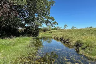 Unk County Road 330, Bertram, TX 78605 - Photo 4