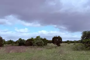 5341 Co Rd 236, Liberty Hill, TX 78642 - Photo 12