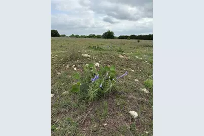 5341 County Road 236, Liberty Hill, TX 78642 - Photo 14