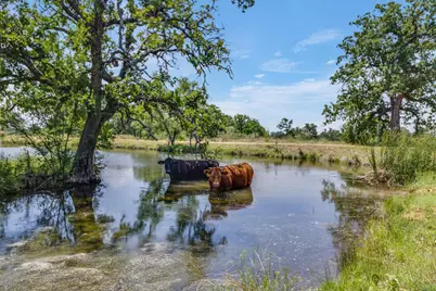 2607 Crider Rd., Marble Falls, TX 78654 - Photo 24