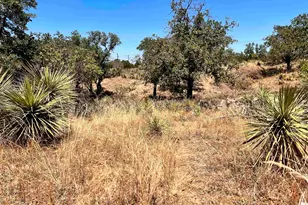 Lot 320 Tbd W Castlebriar Dr, Granite Shoals, TX 78654 - Photo 16