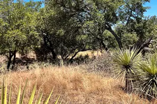 Lot 321 Tbd W Castlebriar Dr, Granite Shoals, TX 78654 - Photo 18