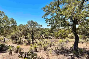 Lot 322 Tbd W Castlebriar Dr, Granite Shoals, TX 78654 - Photo 8