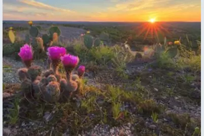 Lot 202 Tbd Westridge Way, Big Creek Ranch, Kingsland, TX 78639 - Photo 6