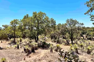 Lot 285 Tbd W Castlelake Dr, Granite Shoals, TX 78654 - Photo 1