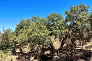 Lot 286 Tbd W Castlelake Dr, Granite Shoals, TX 78654 - Photo 10