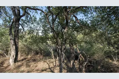 Lot 219 Timber Valley Ln, Granite Shoals, TX 78654 - Photo 1