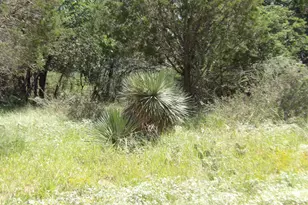 Lots 352 & 353 Rosehill, Granite Shoals, TX 78654 - Photo 1