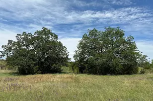 Unk County Road 330, Bertram, TX 78605 - Photo 8