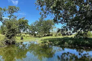 Unk County Road 330, Bertram, TX 78605 - Photo 2
