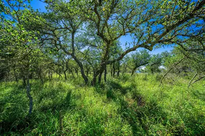 518 W Sunset Drive, Johnson City, TX 78636 - Photo 6