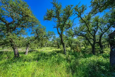 518 W Sunset Drive, Johnson City, TX 78636 - Photo 8