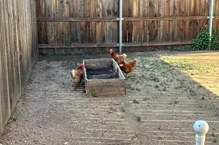 746 Pecan Ln, Cottonwood Shores, TX 78657 - Photo 22