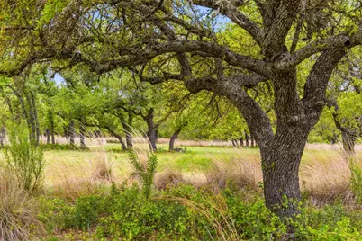 768 N Walnut Springs Road, Johnson City, TX 78636 - Photo 6