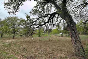 Lot 160 Driftwood Ln, Cottonwood Shores, TX 78657 - Photo 1