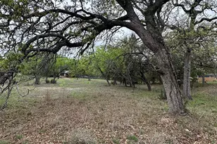 Lot 161 Driftwood Ln, Cottonwood Shores, TX 78657 - Photo 2