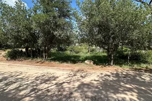 Lot 129 Eastwood Dr, Cottonwood Shores, TX 78657 - Photo 1