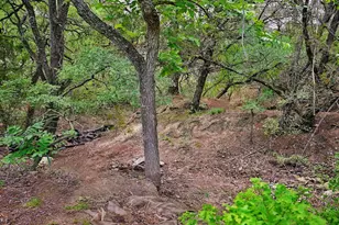 10620 Cr 404, Spicewood, TX 78699 - Photo 6