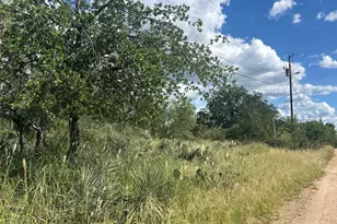 0 Sherwood Downs, Granite Shoals, TX 78654 - Photo 2