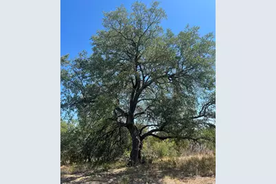 2201 Park View Drive, Marble Falls, TX 78654 - Photo 12