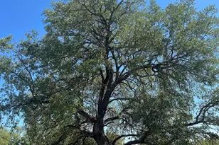 2201 Parkview Dr, Marble Falls, TX 78654 - Photo 12