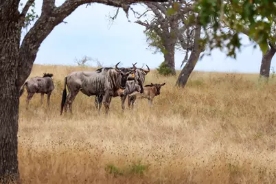 Lot 22 Goose Landing Way, Harper, TX 78631 - Photo 30