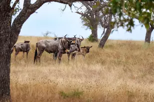 Lot 22 Goose Landing Way, Harper, TX 78631 - Photo 30