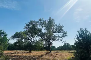 000 Tbd-D, Bertram, TX 78605 - Photo 10