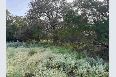 Lot 424 & 425 Oakhill Drive, Granite Shoals, TX 78654 - Photo 4