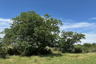 Unk County Road 330, Bertram, TX 78605 - Photo 8