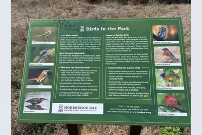 000 Broken Hills/Sapphire Street, Horseshoe Bay, TX 78657 - Photo 6