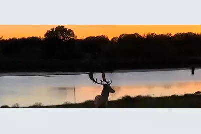 7800 County Road 210, Bertram, TX 78605 - Photo 22