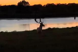 7800 Co Rd 210, Bertram, TX 78605 - Photo 22