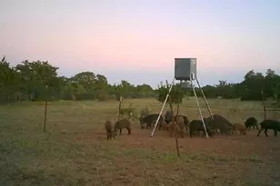 7800 Co Rd 210, Bertram, TX 78605 - Photo 24