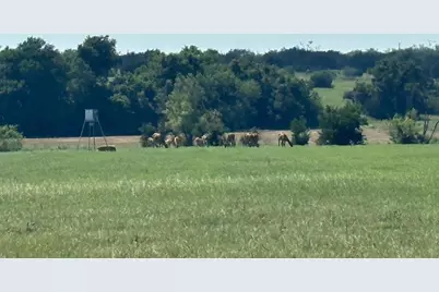 7800 County Road 210, Bertram, TX 78605 - Photo 28