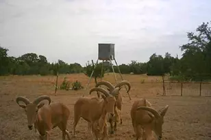 7800 Co Rd 210, Bertram, TX 78605 - Photo 26