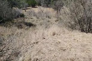 Lot 10203 Lilley Langtry, Horseshoe Bay, TX 78657 - Photo 2