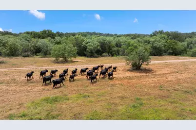 24434 E Hwy 71 Highway, Horseshoe Bay, TX 78657 - Photo 16