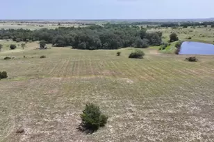 Tbd Lot 4 County Road 276, Bertram, TX 78605 - Photo 6