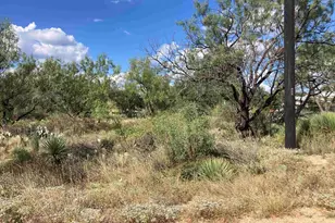 Lots 543 & 544 Hilldale, Granite Shoals, TX 78654 - Photo 2